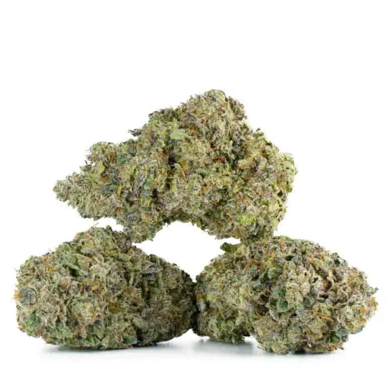 Ghost Gift - 1g Indoor Premium
