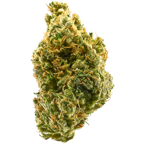 Kit Assaggio: Tangie Indoor 2g - Aroma Mandarino & Zagara (CBD >24%)