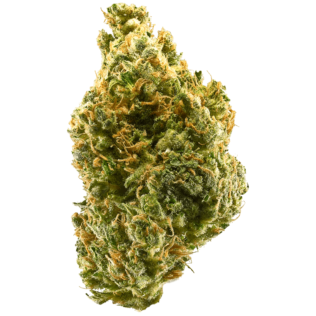 Kit Assaggio: Tangie Indoor 2g - Aroma Mandarino & Zagara (CBD >24%)