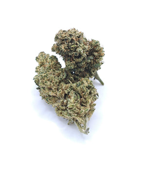 Alien Pie infiorescenza CBD indoor idroponica