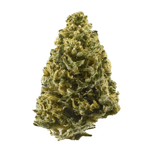ALIEN COOKIE Indoor - 5 Grammi