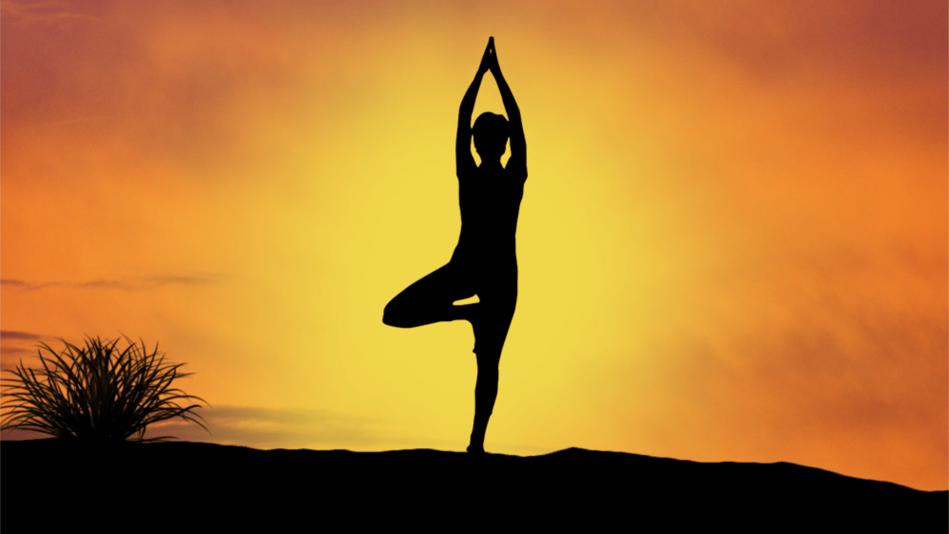 Cannabis e yoga: il connubio per una consapevolezza più profonda