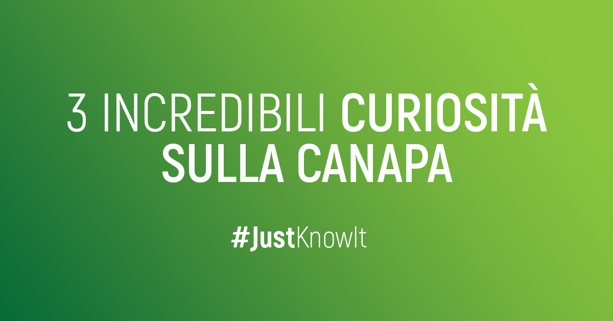3 Incredibili curiosità sulla cannabis che sicuramente non sapevi.