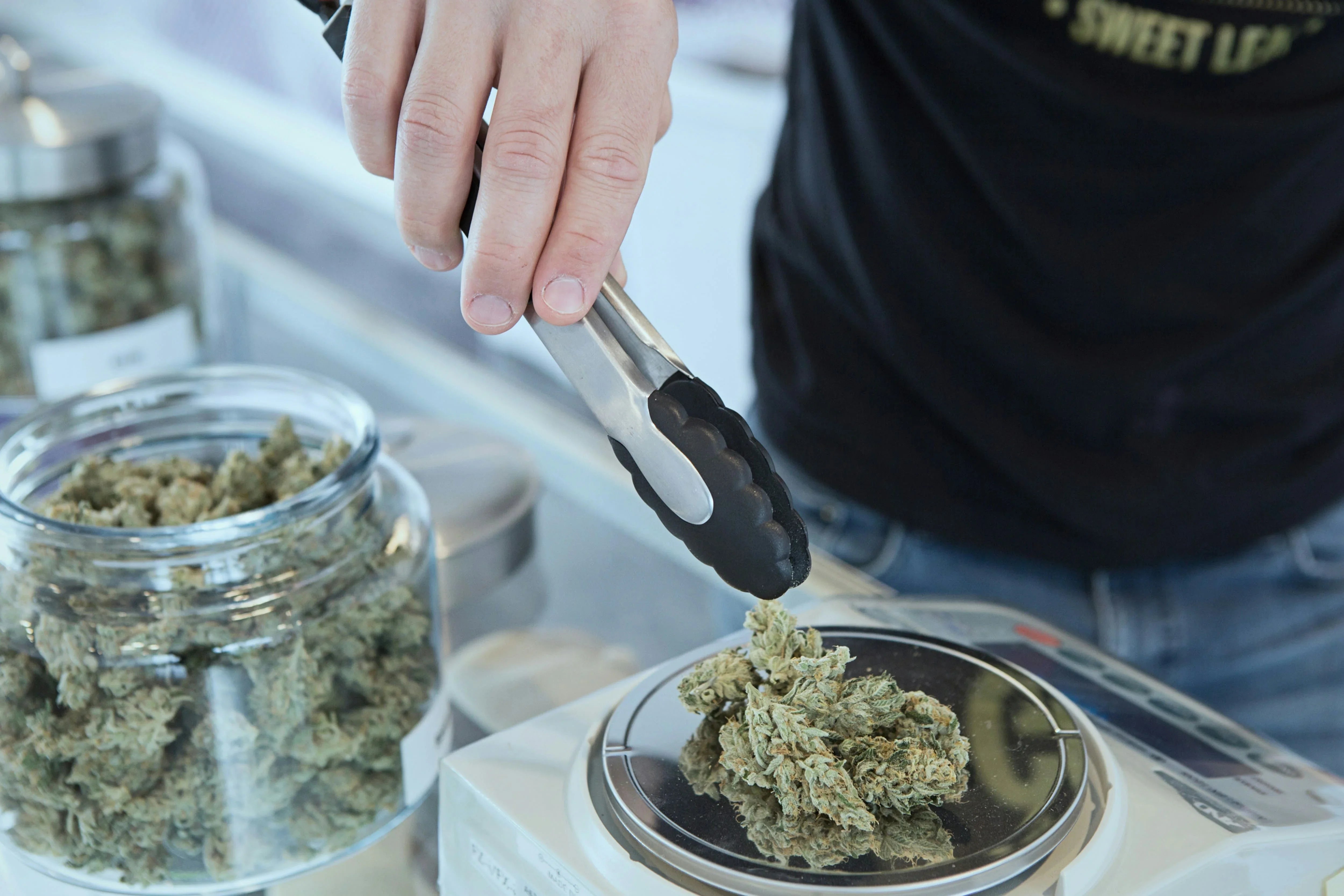 Malta: ha aperto il primo cannabis club (ed è un successo)