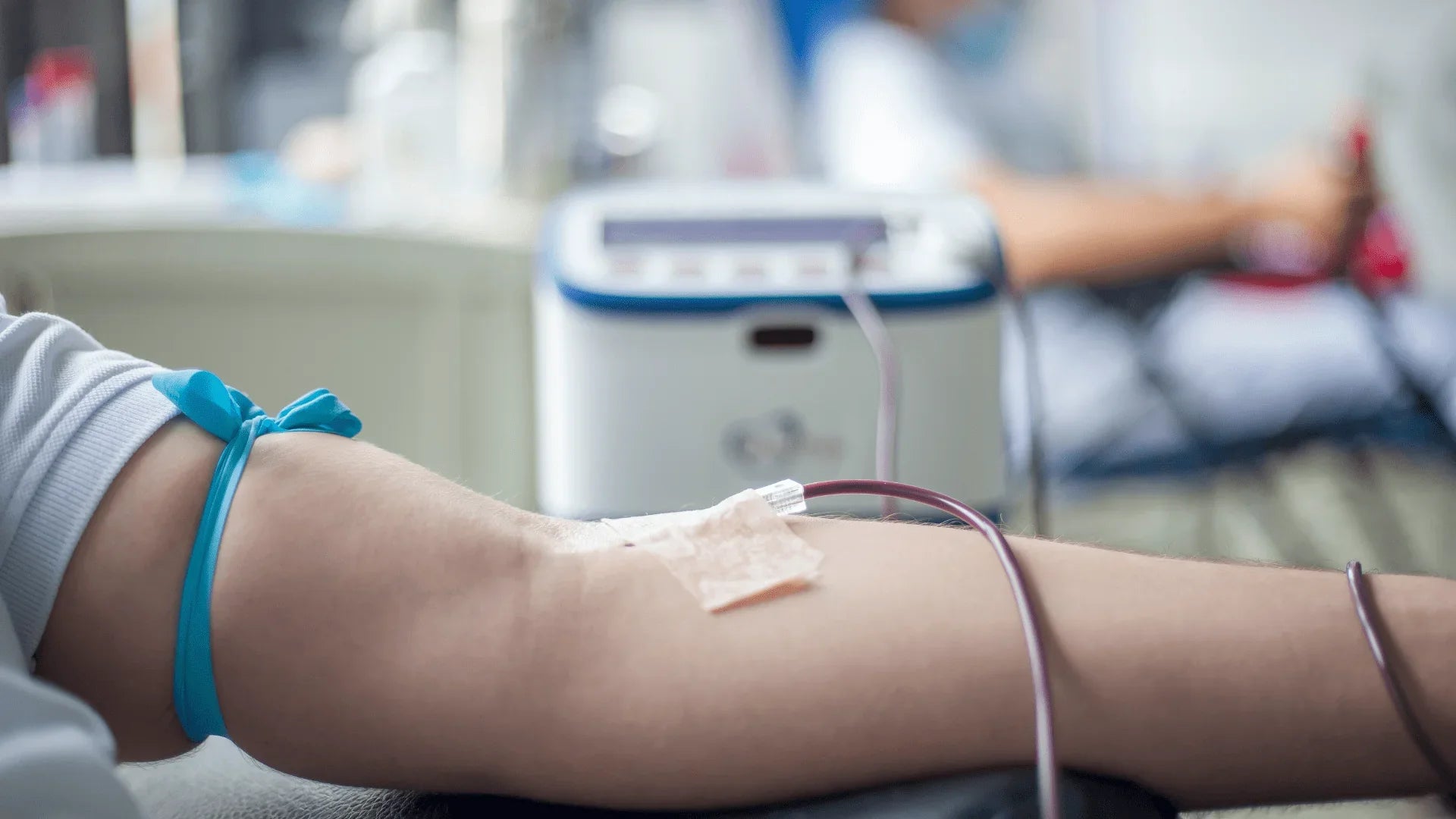 Chi assume cannabis può donare il sangue? Tutto ciò da sapere
