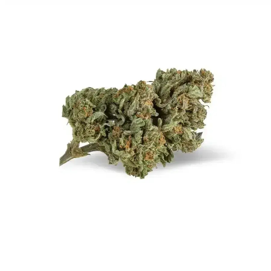 Acapulco Gold Indoor CBD, infiorescenza legale ispirata alla landrace messicana