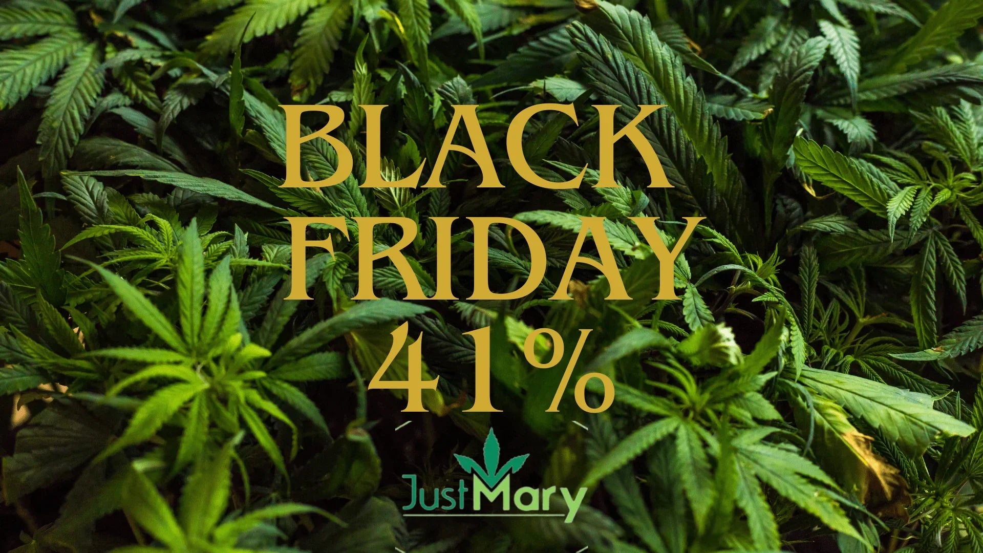 Black Friday su Justmary: la tua cannabis light preferita (e non solo) a prezzi scontati