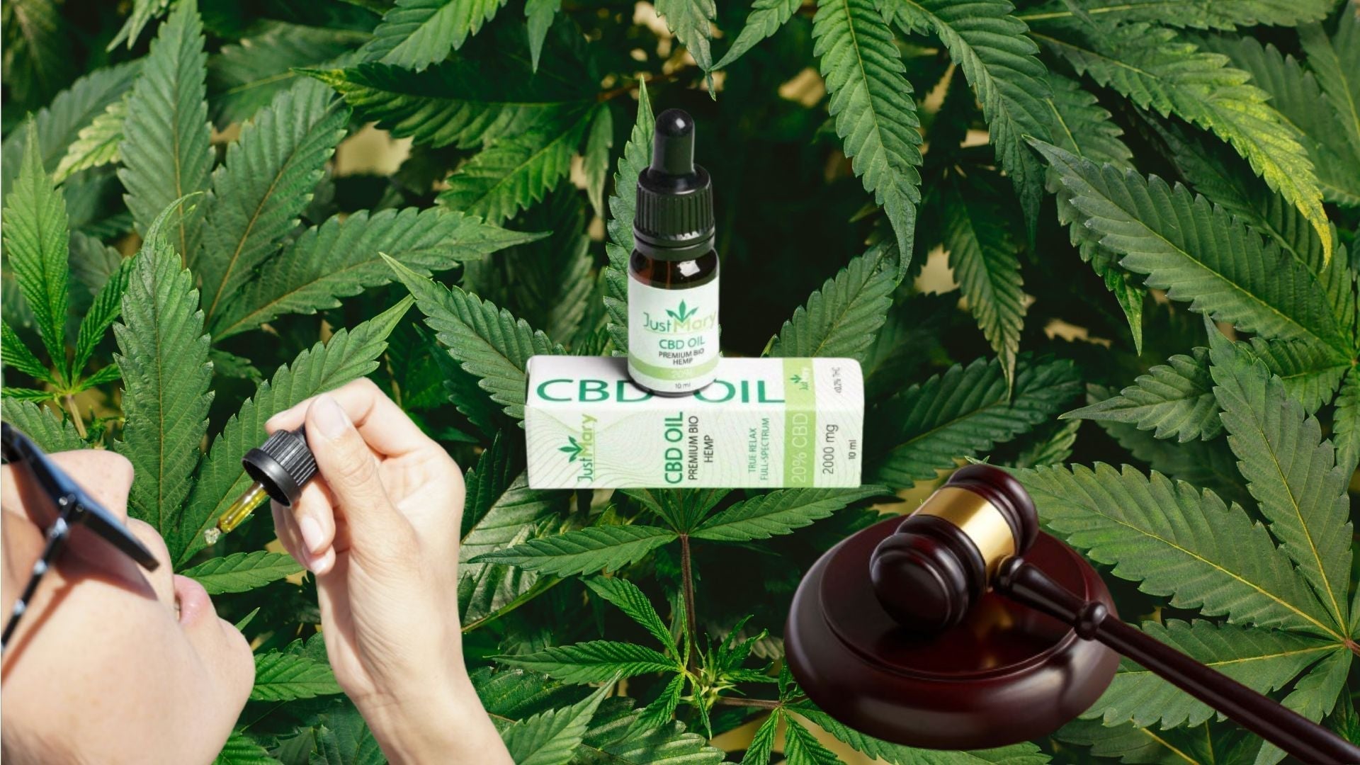 Consiglio di Stato CBD 