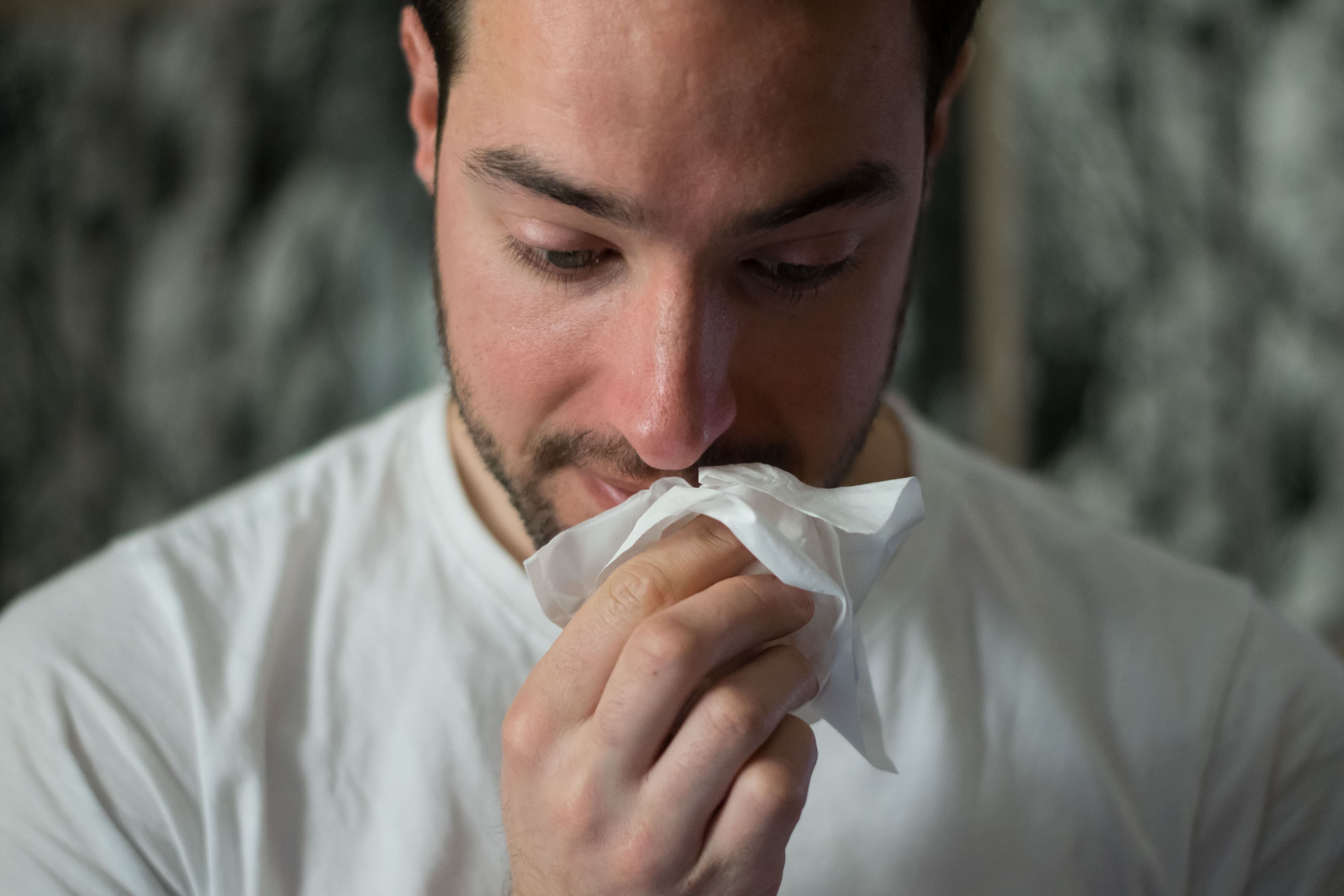 CBD e allergie stagionali: i benefici che nessuno ti ha mai detto (e che devi sapere)