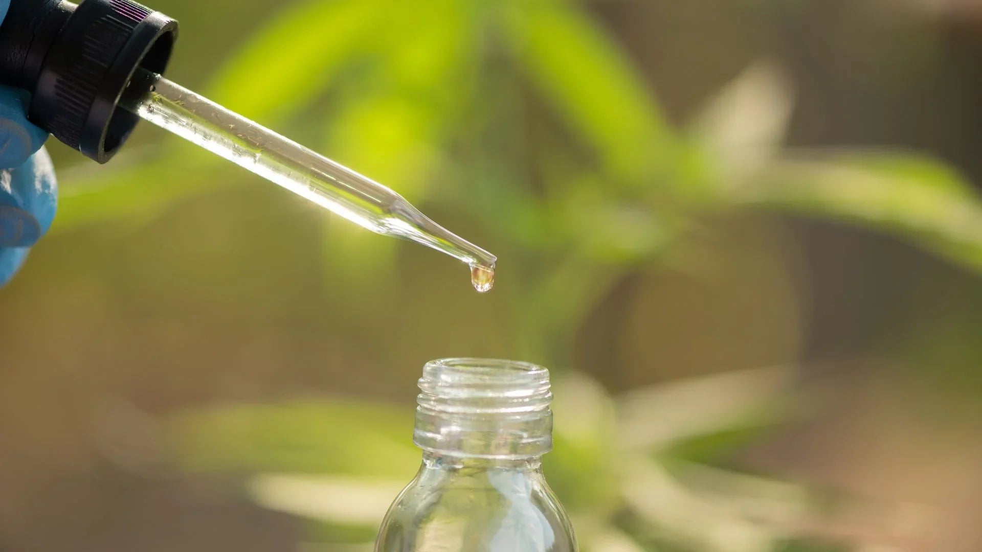 Decreto CBD stupefacente: il ricorso delle associazioni per fermarlo