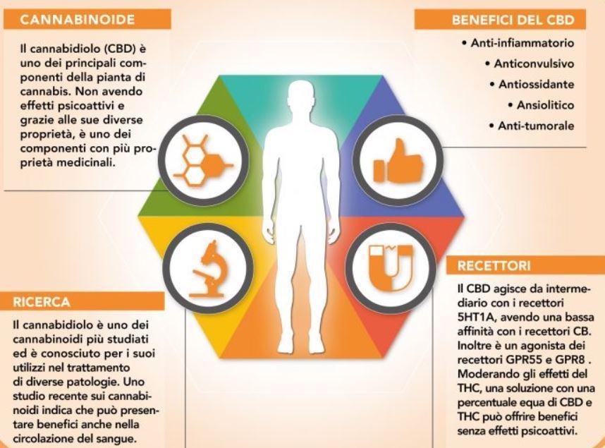 Cannabidiolo e Fibromialgia