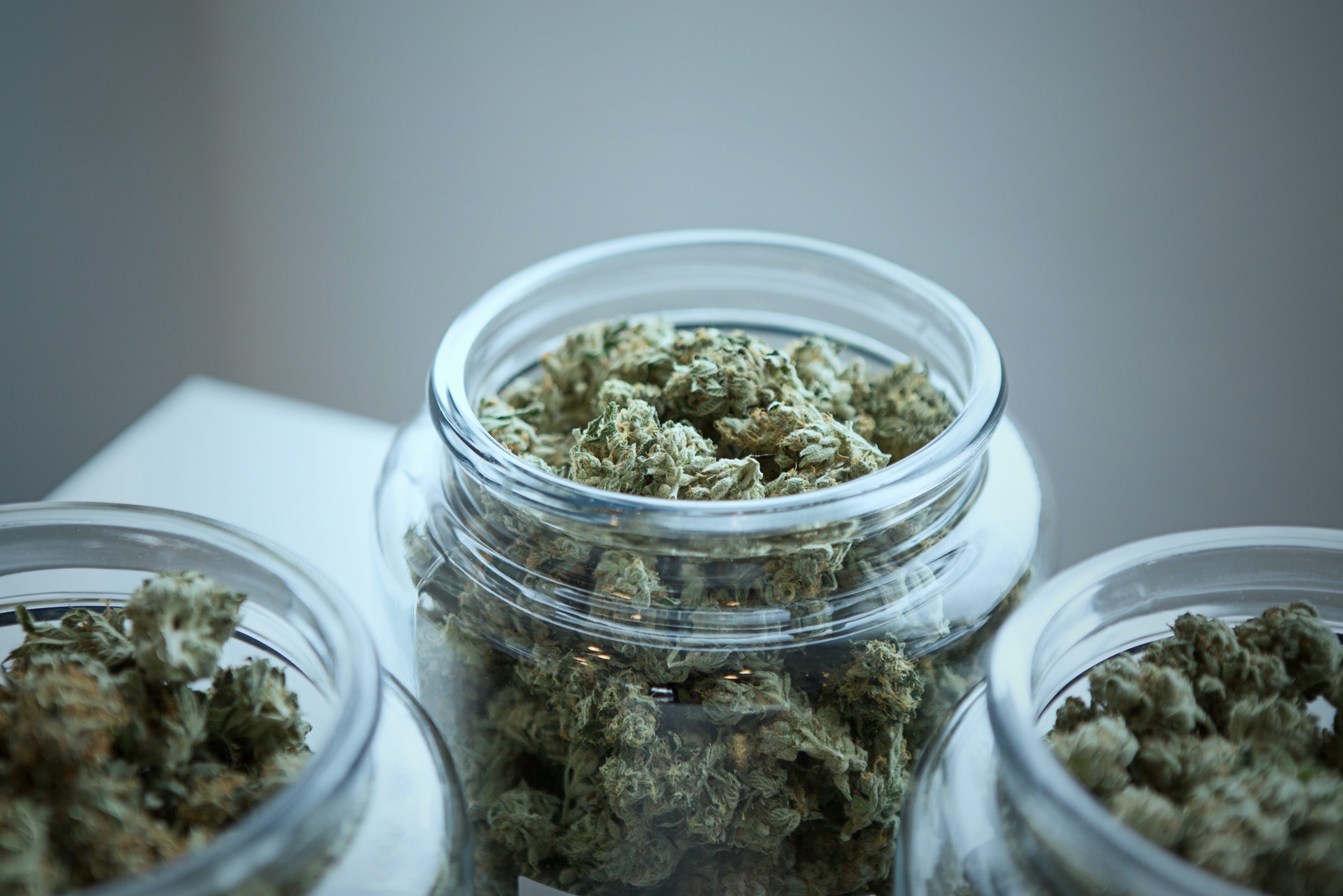 Come conservare (correttamente) la cannabis e non farle invecchiare