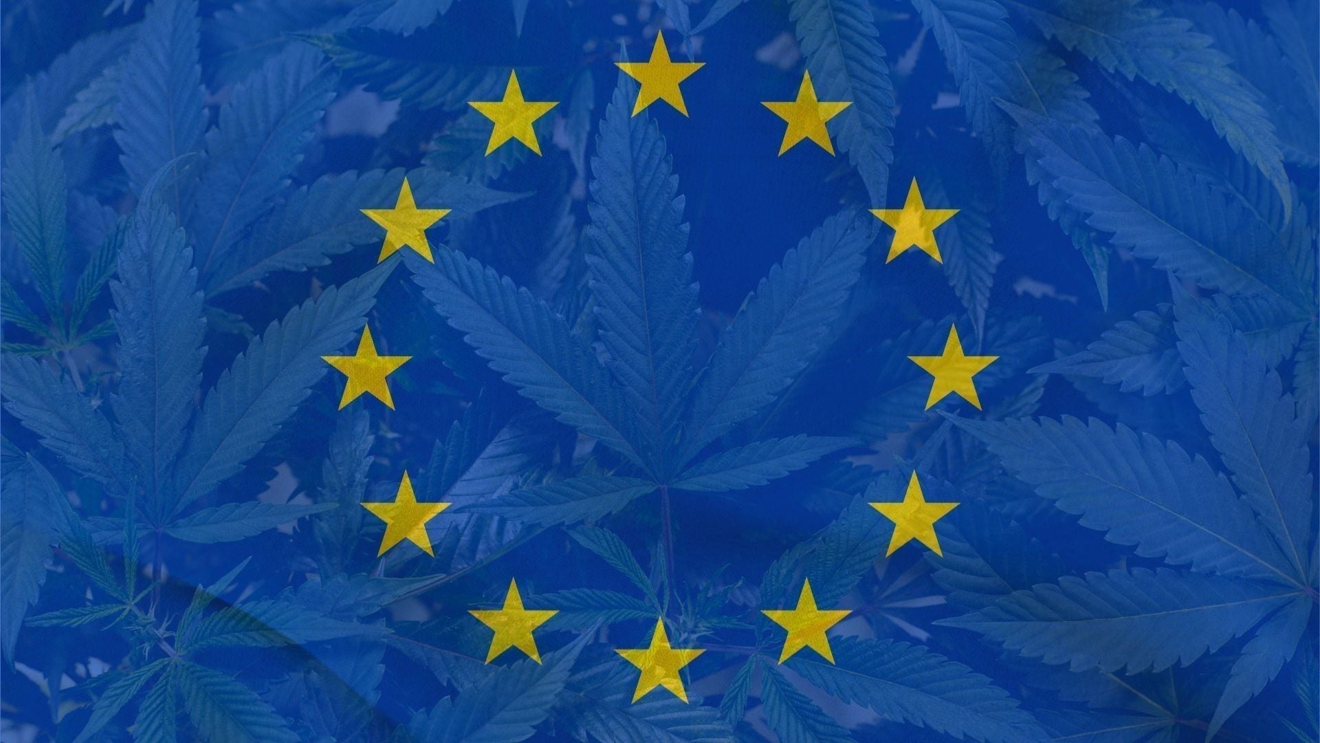 Fuori legge? L'Europa ha in mano il futuro della canapa in Italia