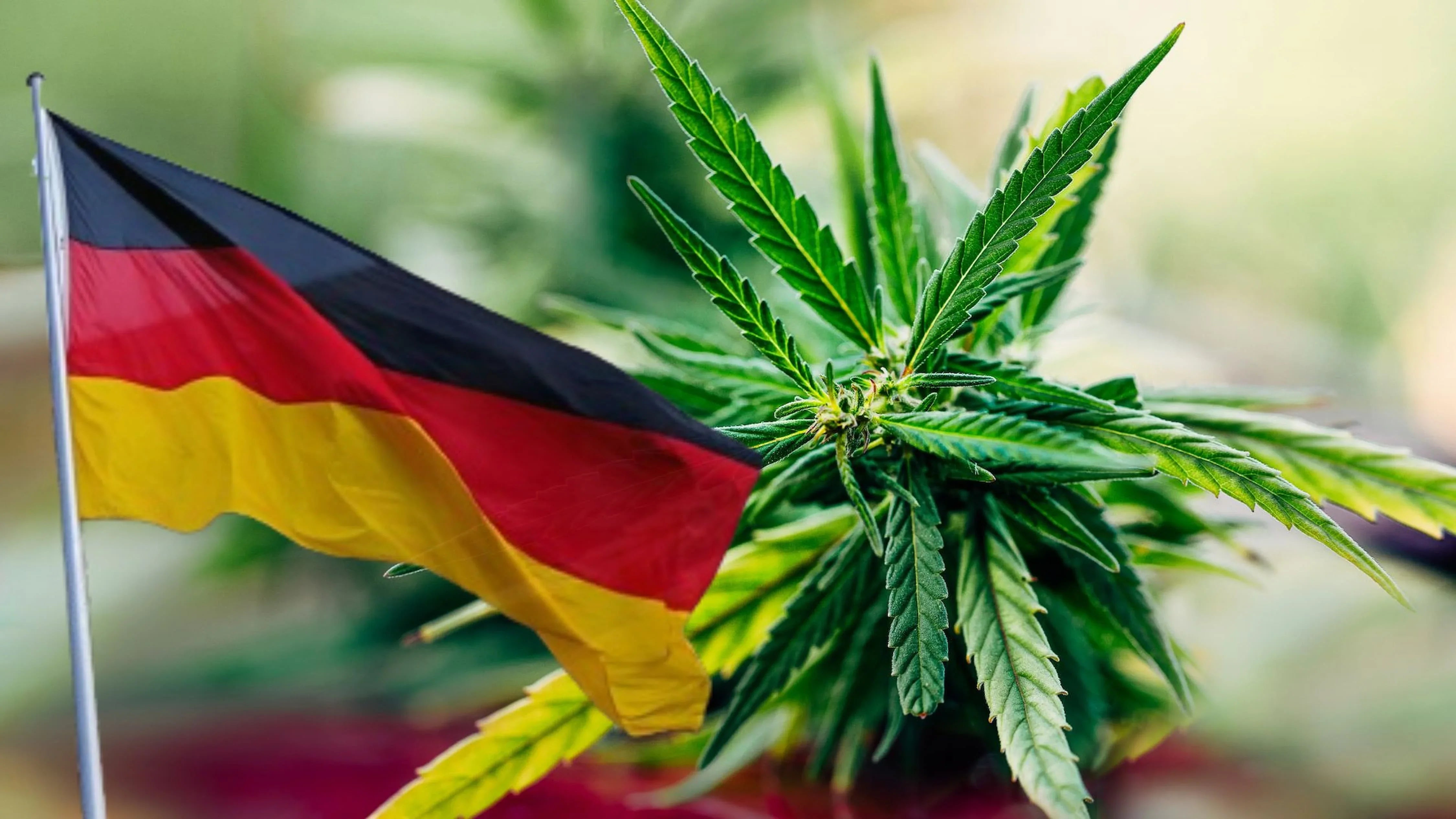 Germania: una legge che liberalizza la canapa industriale