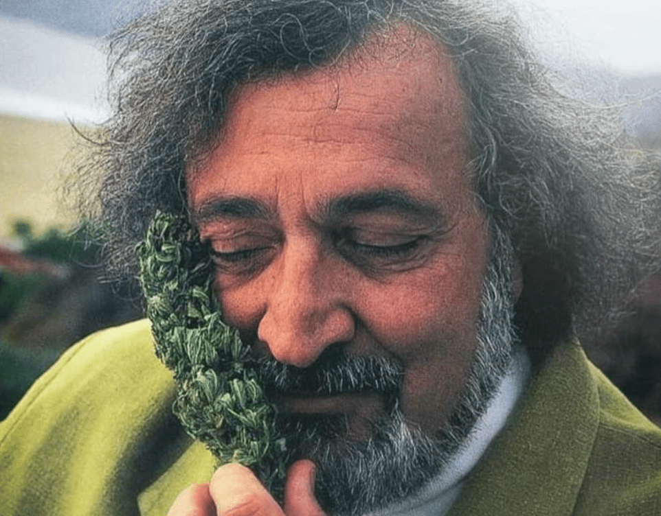 Jack Herer | La storia dell'imperatore della canapa