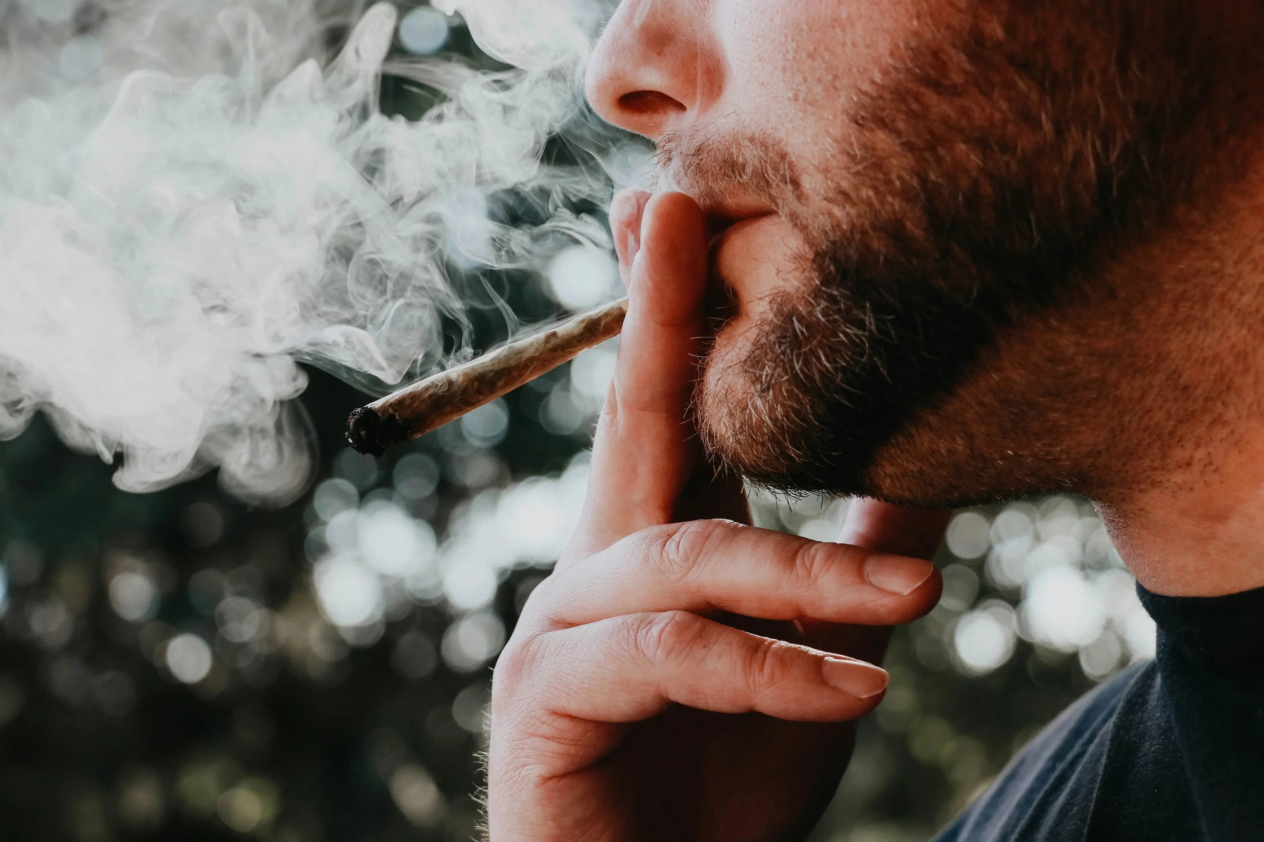 Dove la cannabis è legale i giovani smettono di fumare