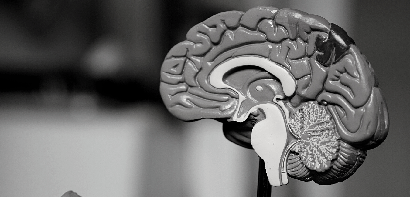 Cannabis e Alzheimer: il THC può essere utile