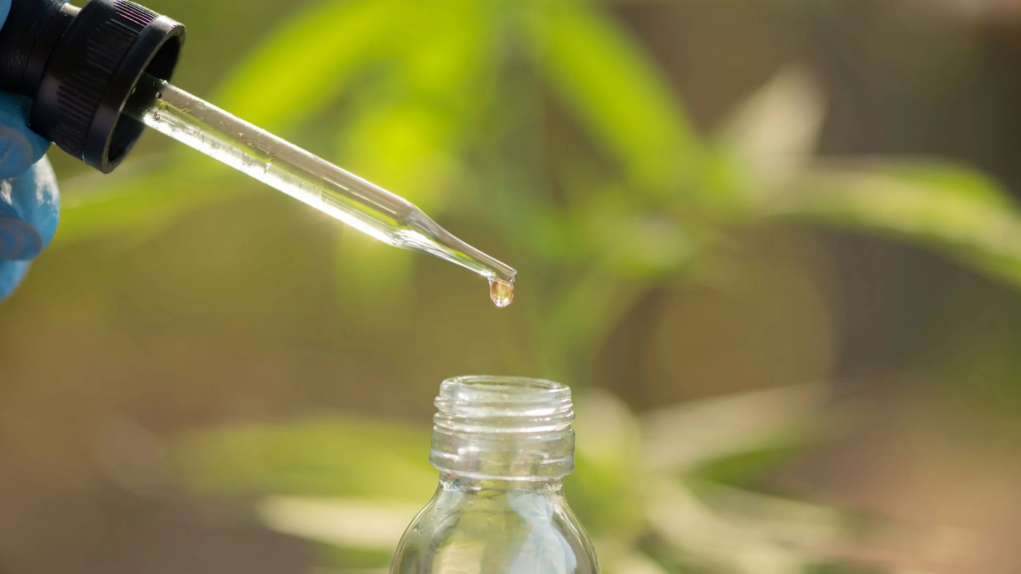 Il TAR conferma: il CBD non è stupefacente, decreto sospeso