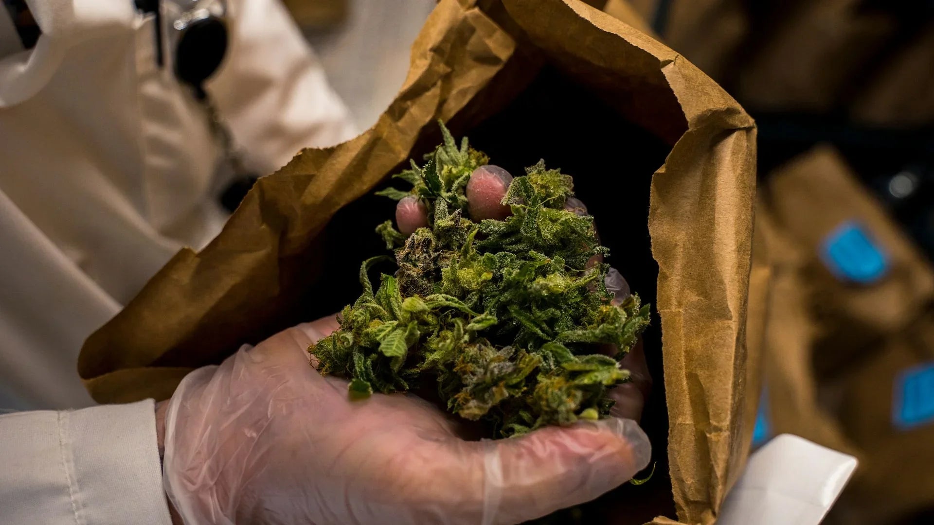 Tossica: la cannabis illegale in Europa è contaminata