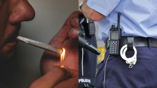 Kleaner spray THC: proteggi la patente dal nuovo codice della strada