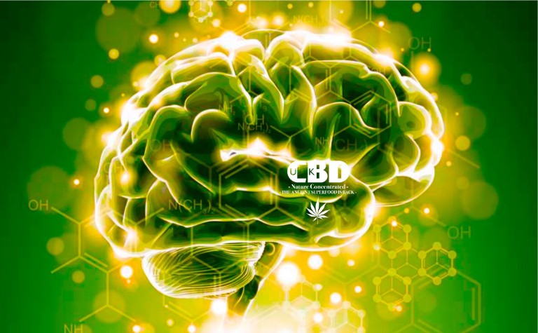 CBD e Parkinson: La Guida Completa agli Studi Scientifici e Benefici (2026)