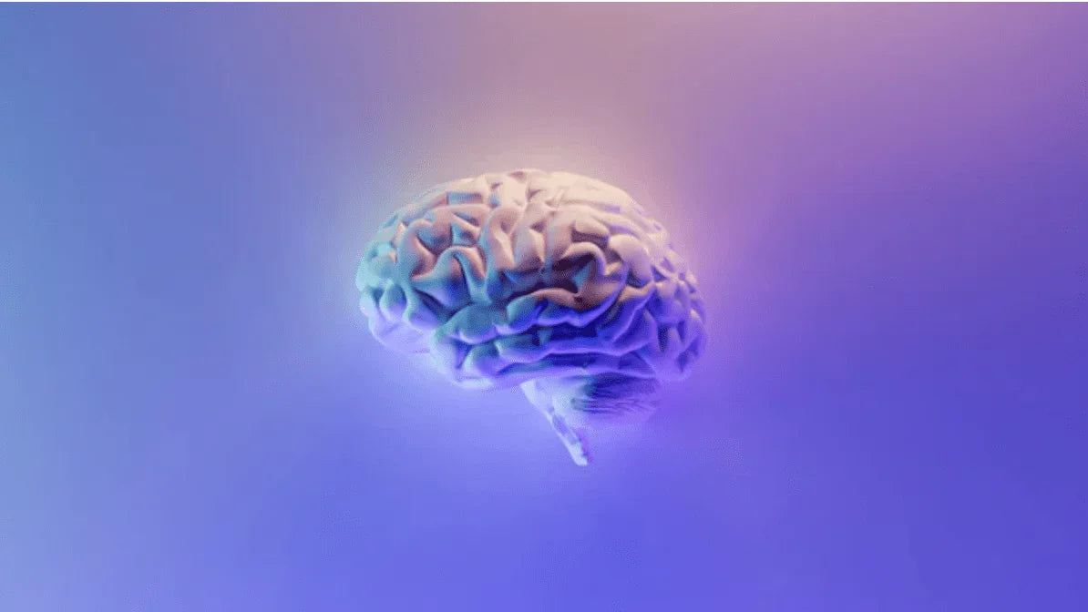 CBD come neuroprotettore naturale ed efficace: gli studi scientifici