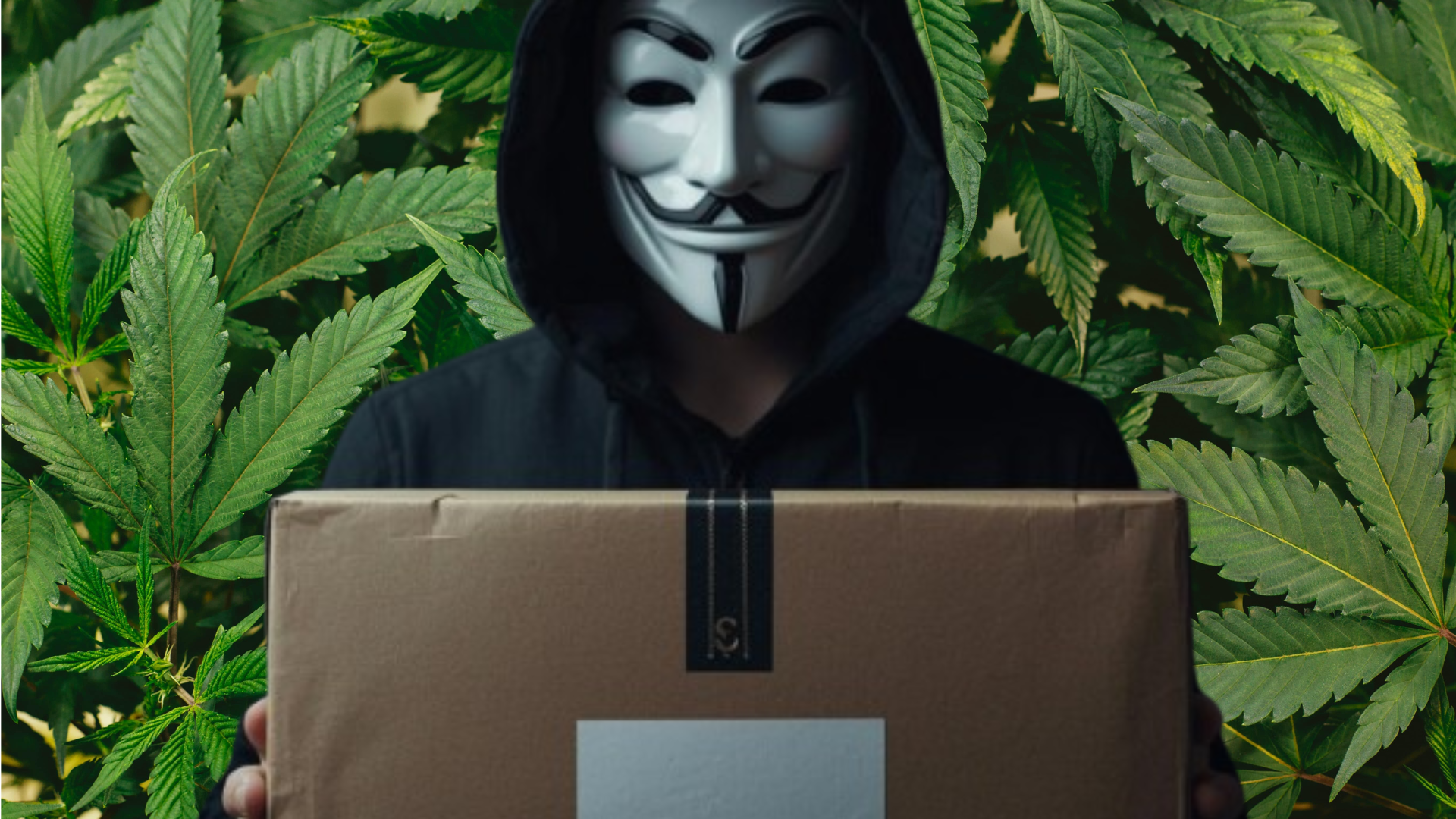 CBD online spedizione anonima