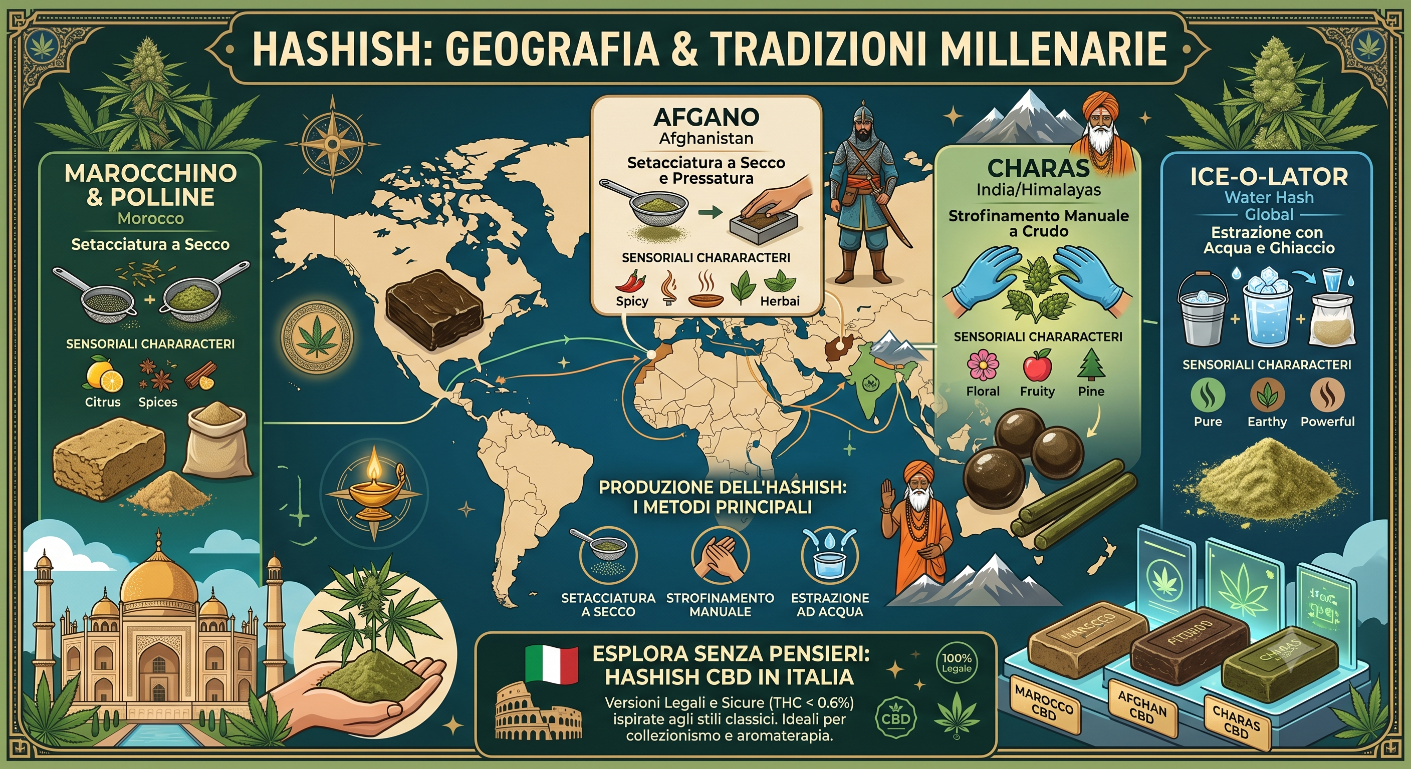Tipi di Hashish: Guida Completa dal Marocchino al Charas