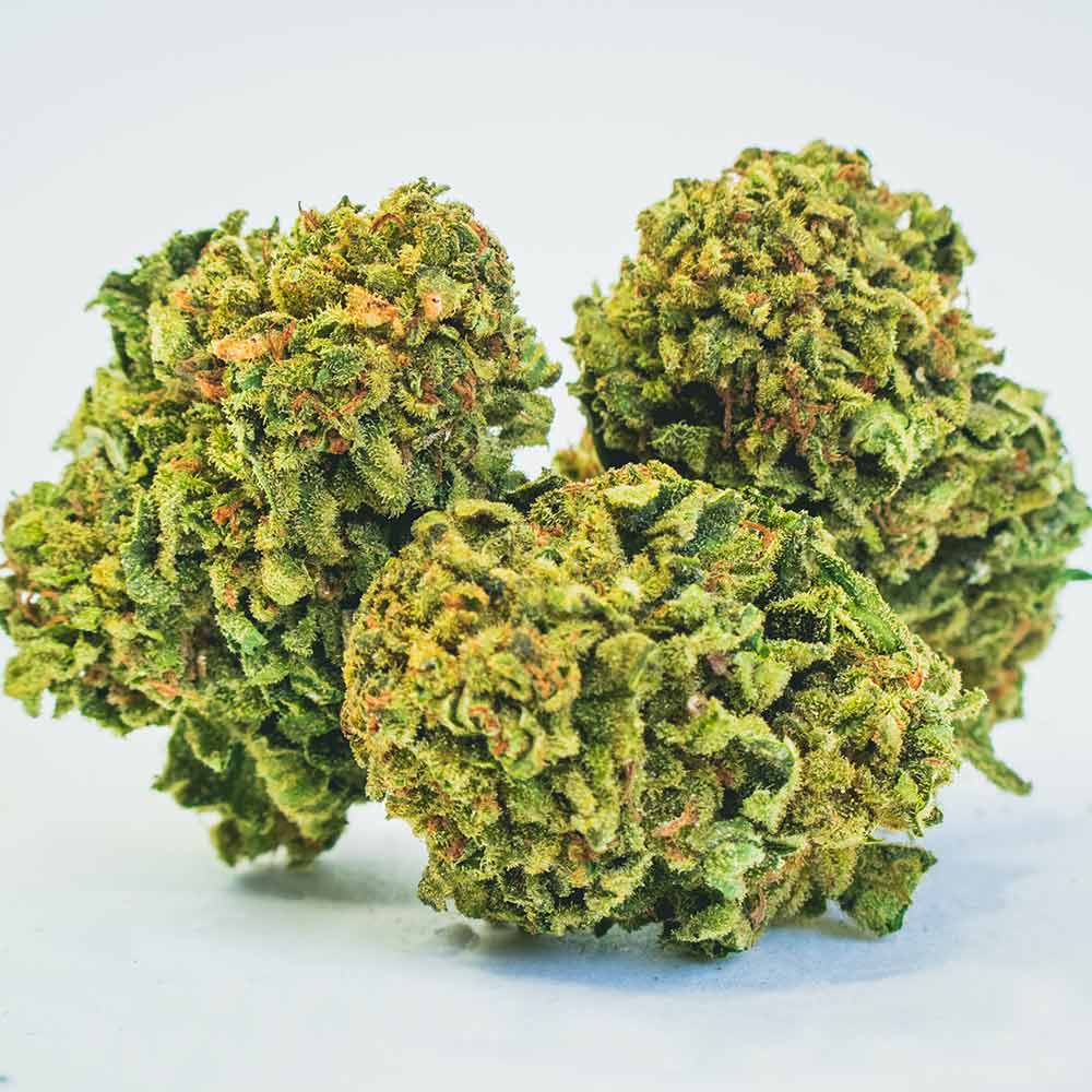 Lemon Haze e Lemon Gelato CBD: Guida alle Varietà Agrumate