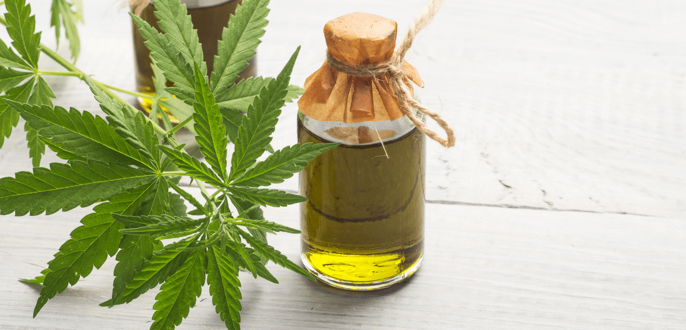 Olio di canapa | Tutto quello che c'è da sapere