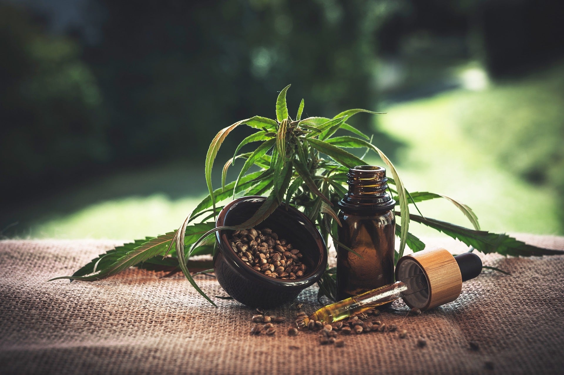 Olio di canapa e olio di CBD: differenze e proprietà da sapere