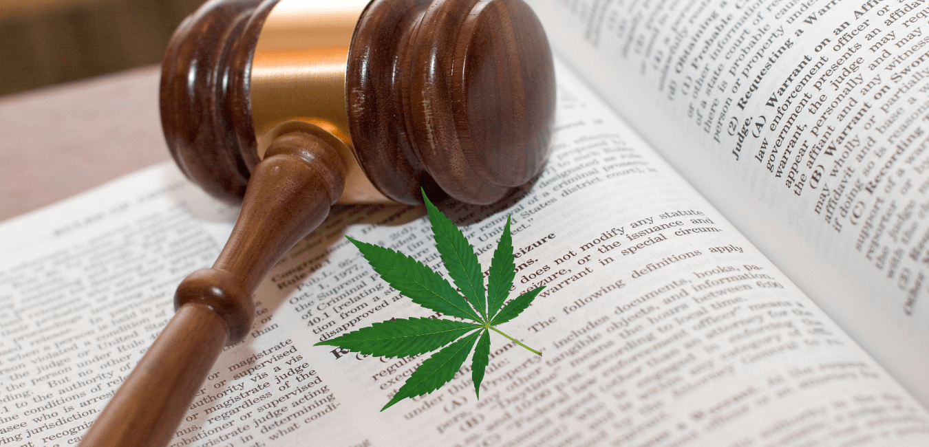 Legalizzazione, depenalizzazione e liberalizzazione: le differenze