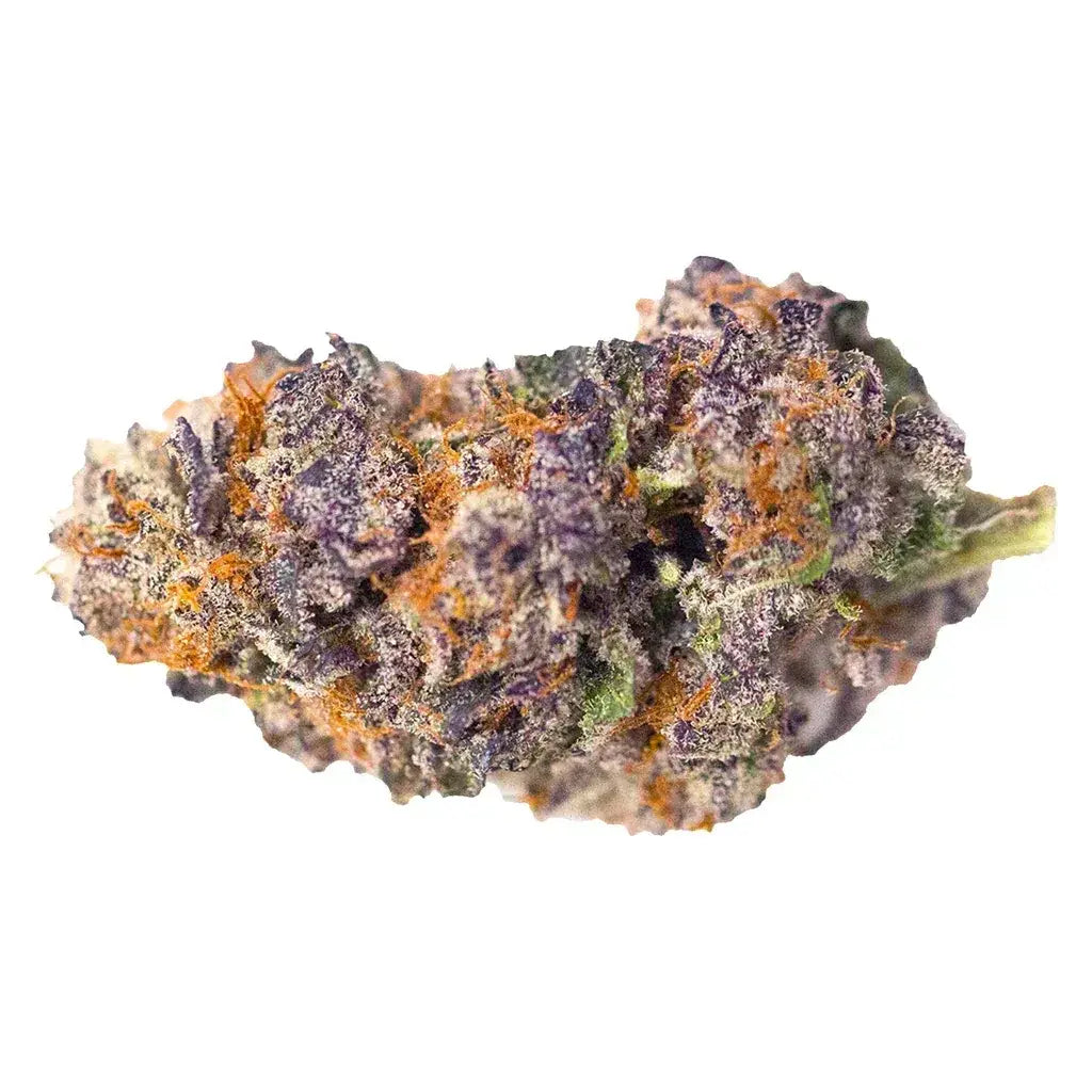Daisy Purple CBD Deep Violet, infiorescenza legale dalle sfumature viola come la Purple Haze