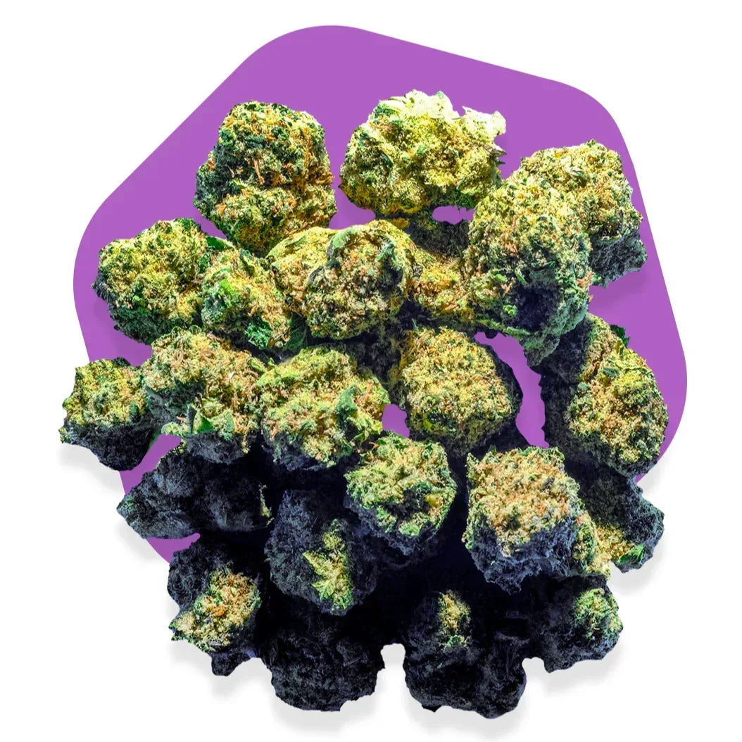 ALIEN COOKIE Indoor - 5 Grammi