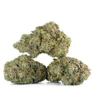 Ghost Gift - 1g Indoor Premium