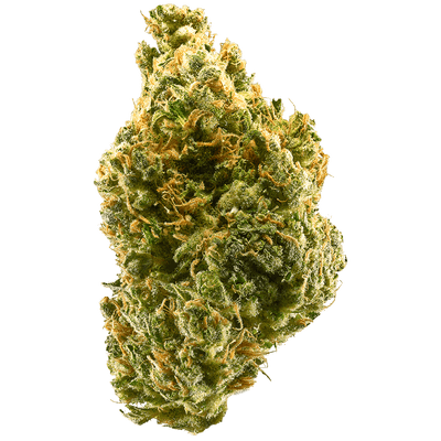 Tangie Indoor 2g - Aroma Mandarino & Zagara (CBD >24%)
