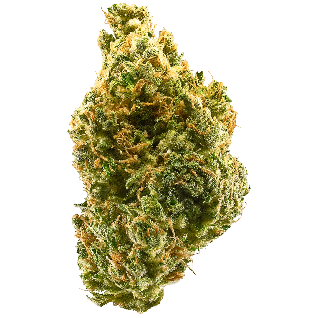 Kit Assaggio: Tangie Indoor 2g - Aroma Mandarino & Zagara (CBD >24%)