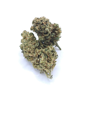 Alien Pie infiorescenza CBD indoor idroponica