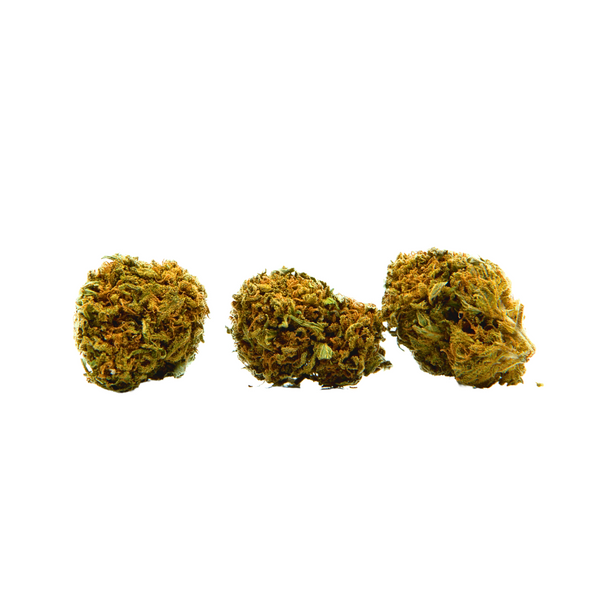 BonBon baby weed  - 10 grammi - CBD 26% THC 0,5%.