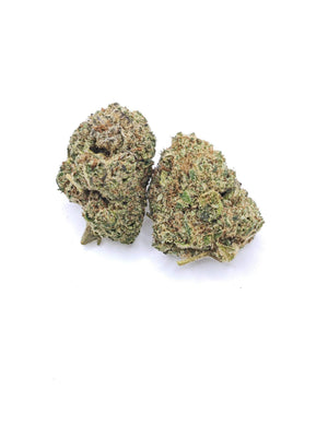 Candy Kush infiorescenza CBD indoor idroponica