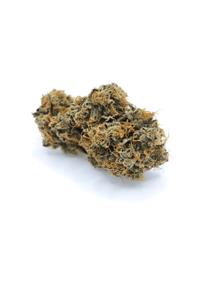 Cherry Wine infiorescenza CBD indoor idroponica