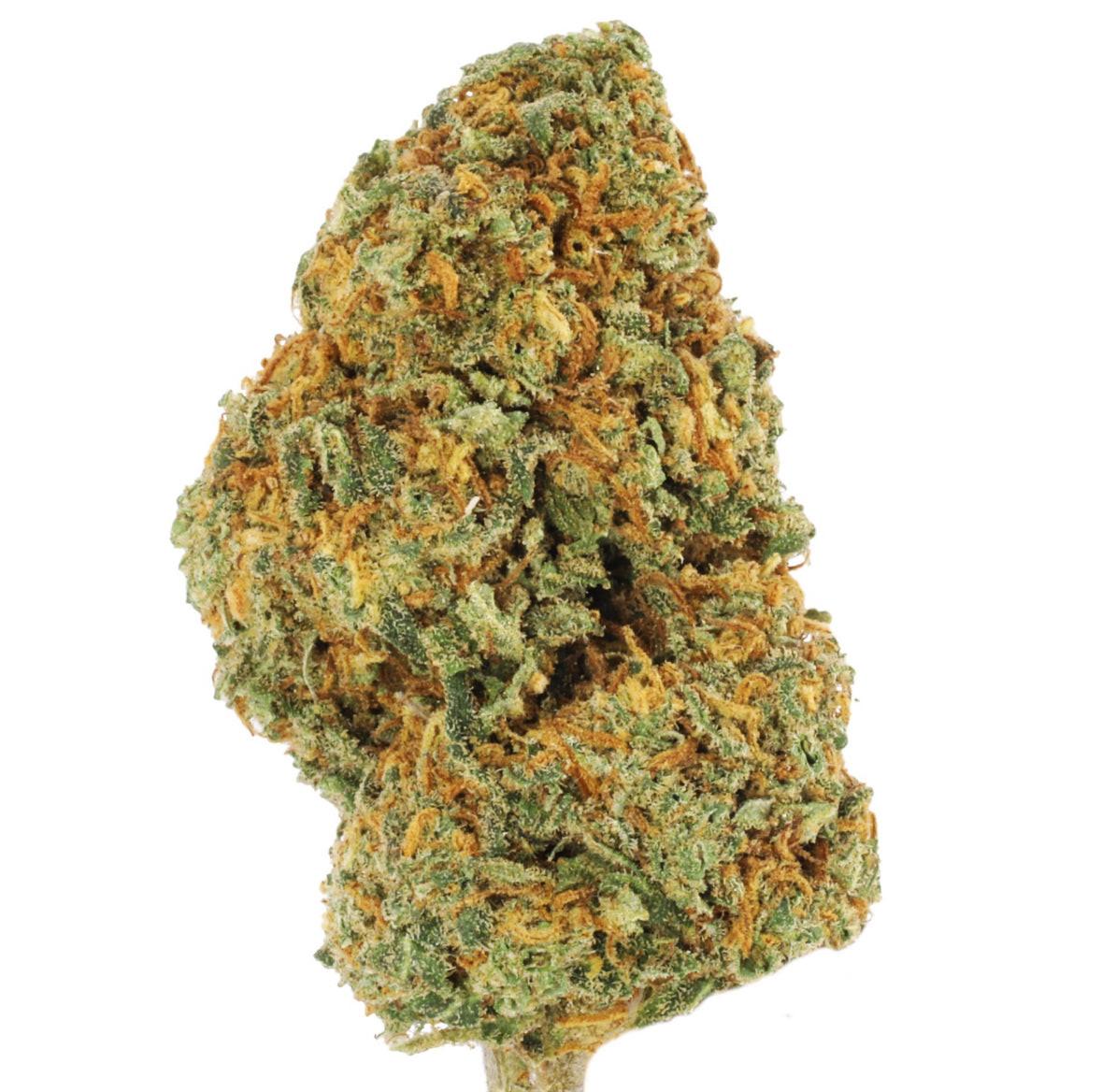 Los Angeles AMNESIA 50g Bio